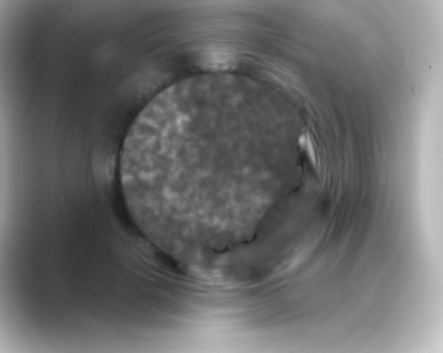 X0000088690652200706211927