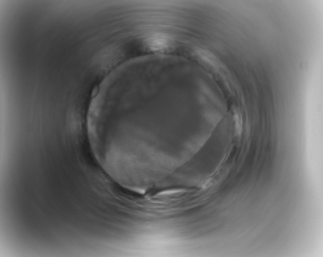 X0000088690653200706211927