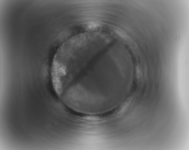 X0000088690654200706211927