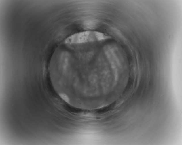 X0000088690655200706211927
