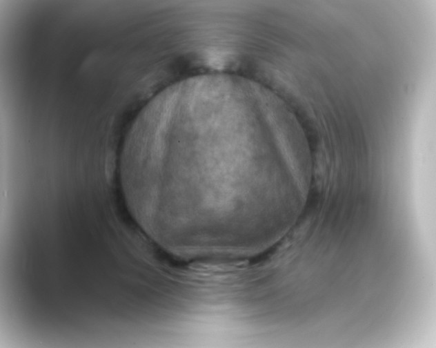 X0000088690656200706211927