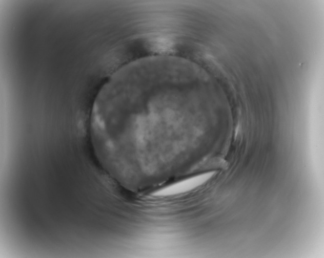 X0000088690658200706211927