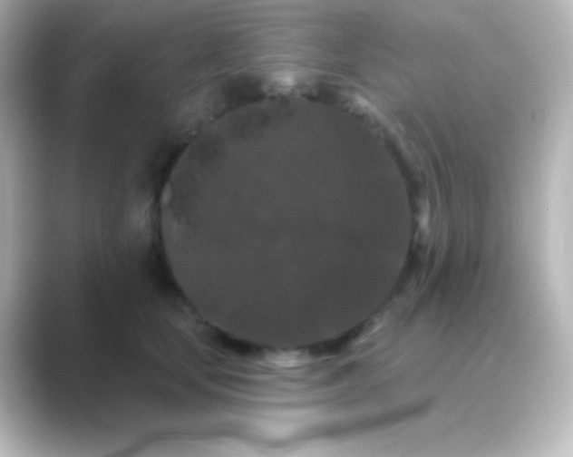 X0000088690659200706211928