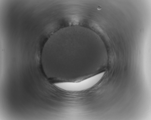 X0000088690661200706211928