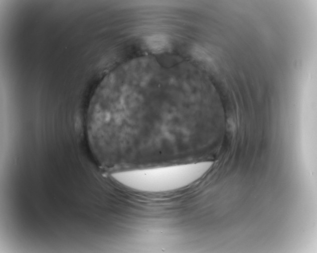 X0000088690662200706211928