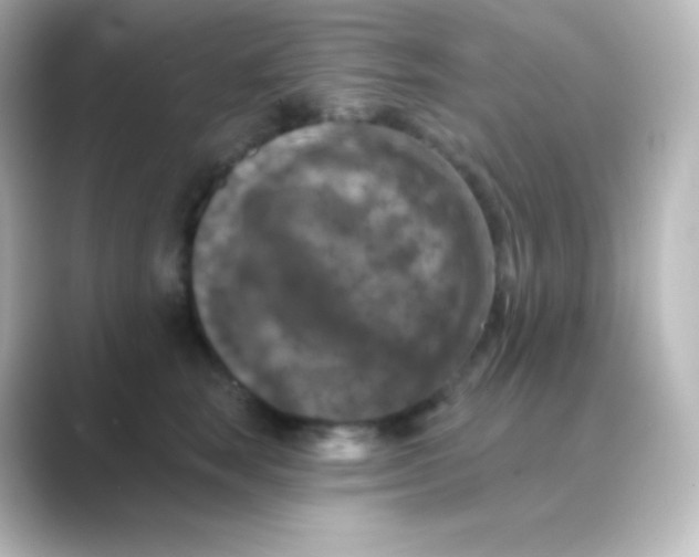 X0000088690663200706211928