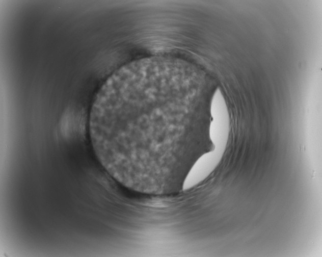 X0000088690664200706211928