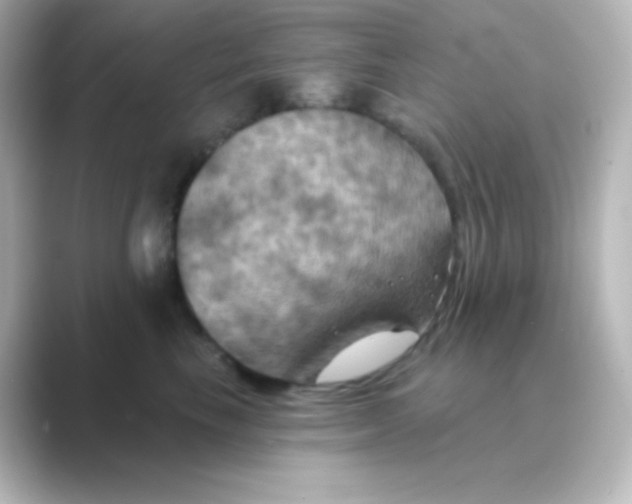 X0000088690665200706211928