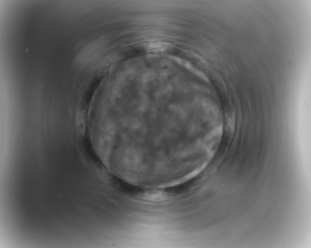 X0000088690666200706211928