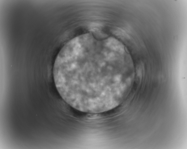 X0000088690667200706211928
