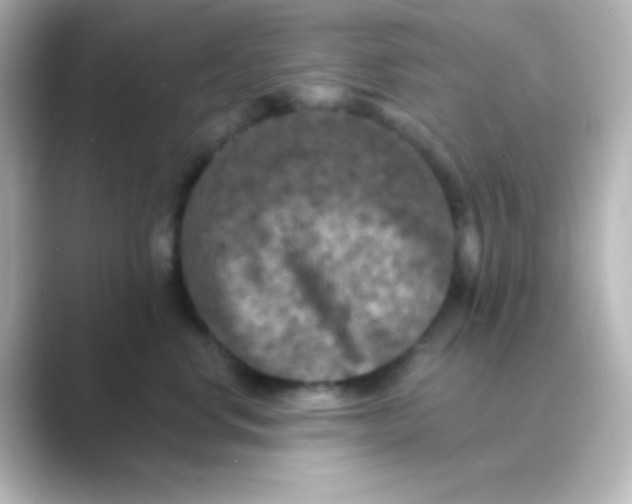 X0000088690668200706211928