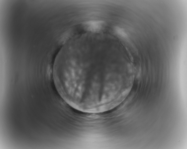 X0000088690669200706211928