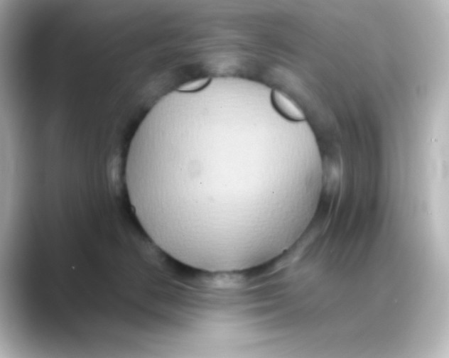 X0000088690670200706211928