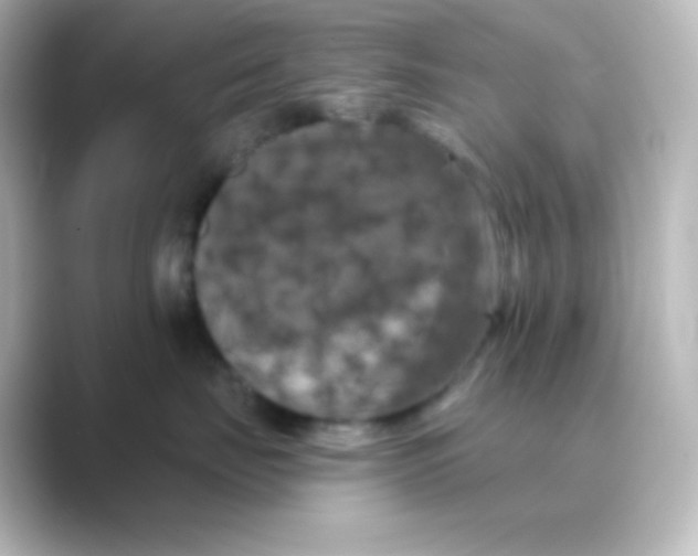 X0000088690671200706211928