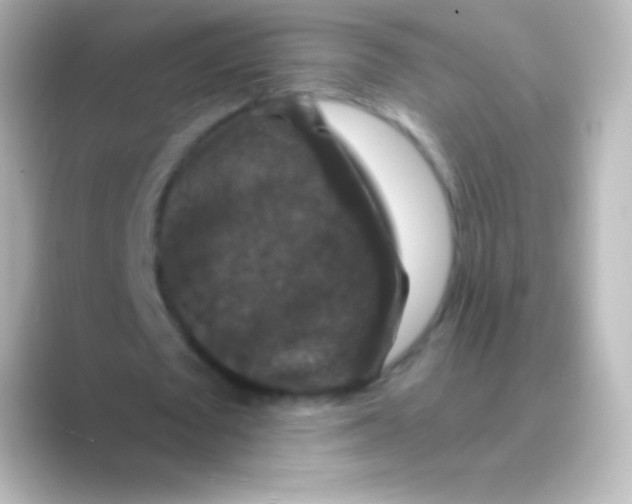 X0000088690673200706211927