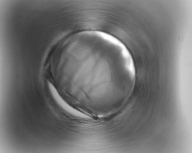 X0000088690674200706211927