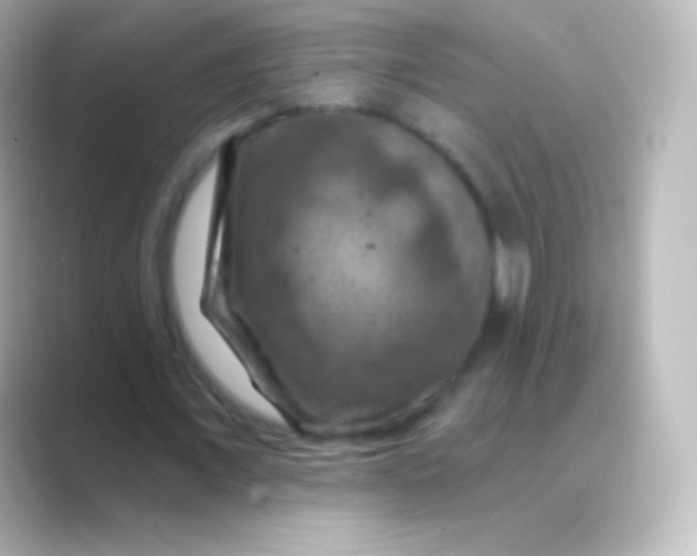 X0000088690675200706211927