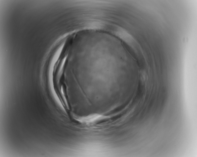 X0000088690676200706211927