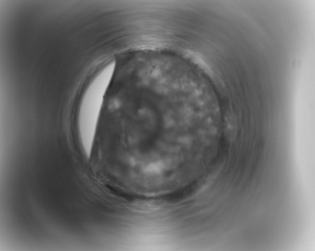 X0000088690679200706211927