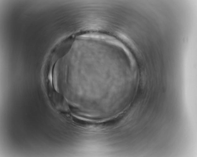 X0000088690680200706211927