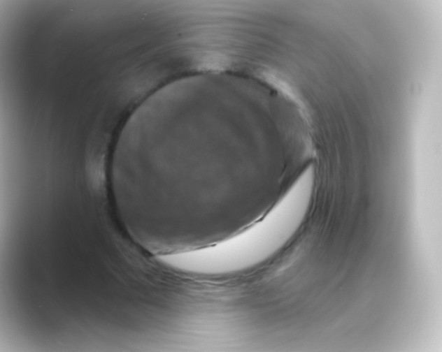 X0000088690681200706211927