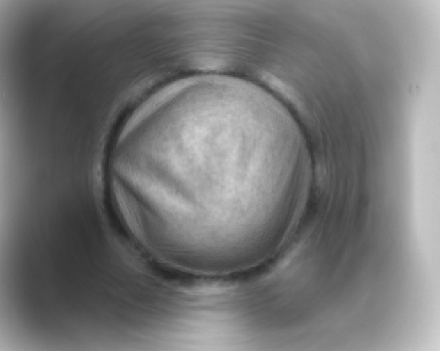 X0000088690682200706211927