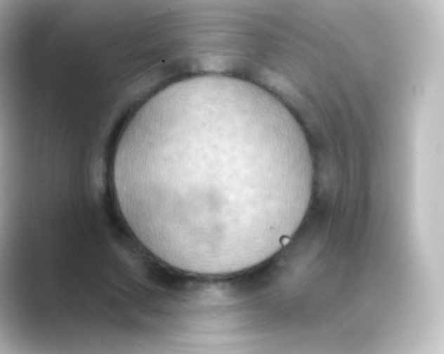 X0000088690683200706211927