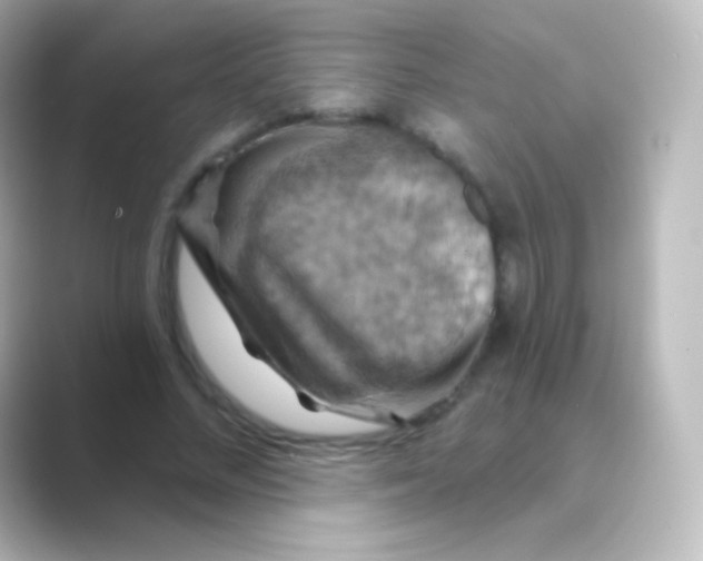 X0000088690684200706211927