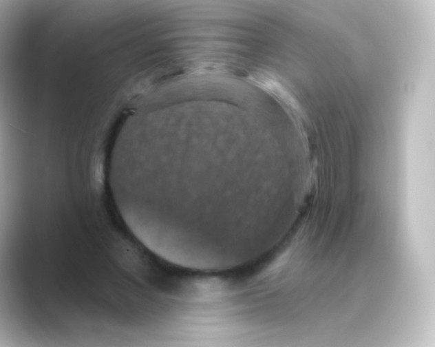 X0000088690685200706211927