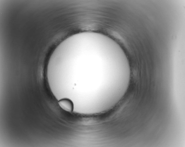 X0000088690686200706211927