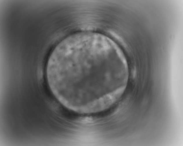 X0000088690687200706211927