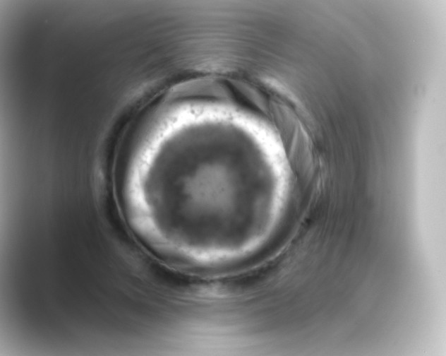 X0000088690688200706211927
