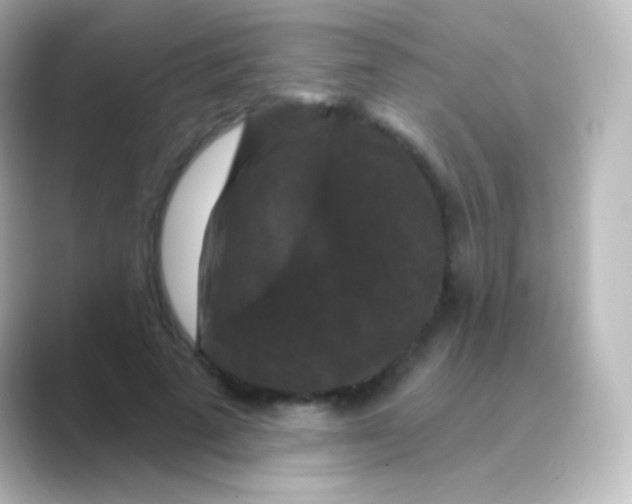 X0000088690689200706211927