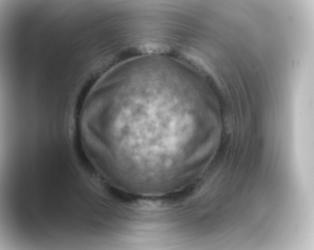 X0000088690690200706211927