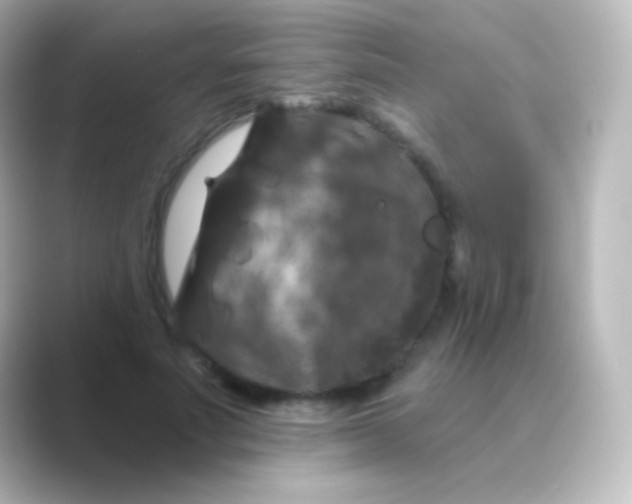 X0000088690691200706211927