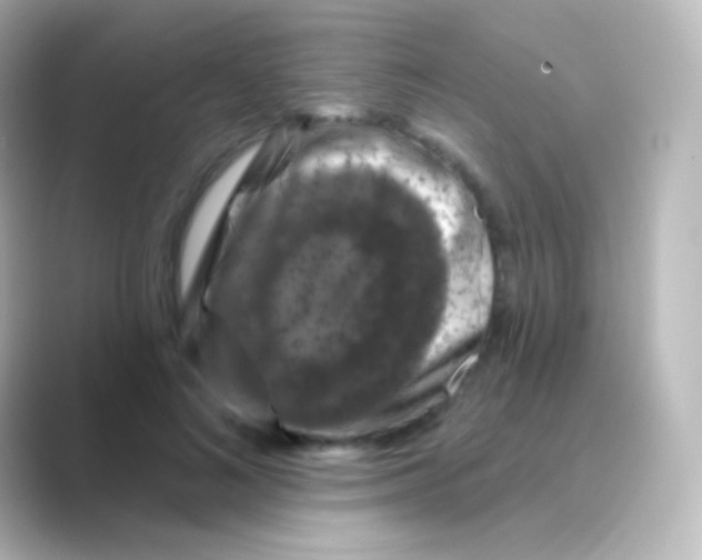 X0000088690692200706211927