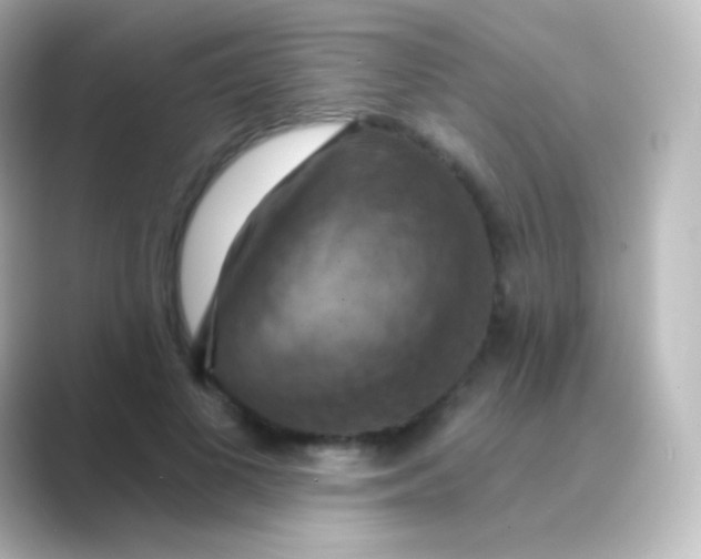 X0000088690693200706211927