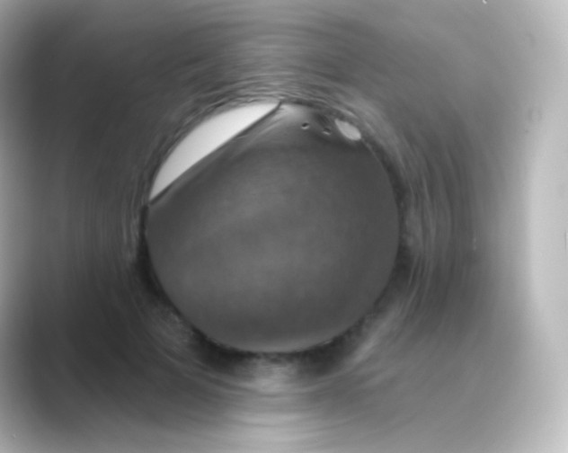 X0000088690697200706211927