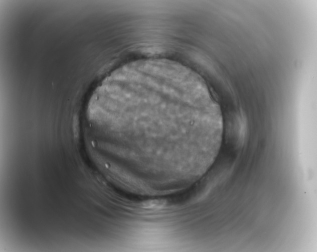 X0000088690700200706211927