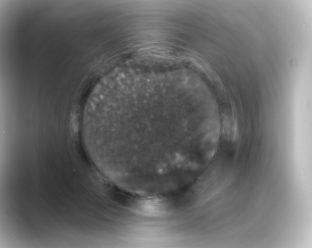 X0000088690701200706211927