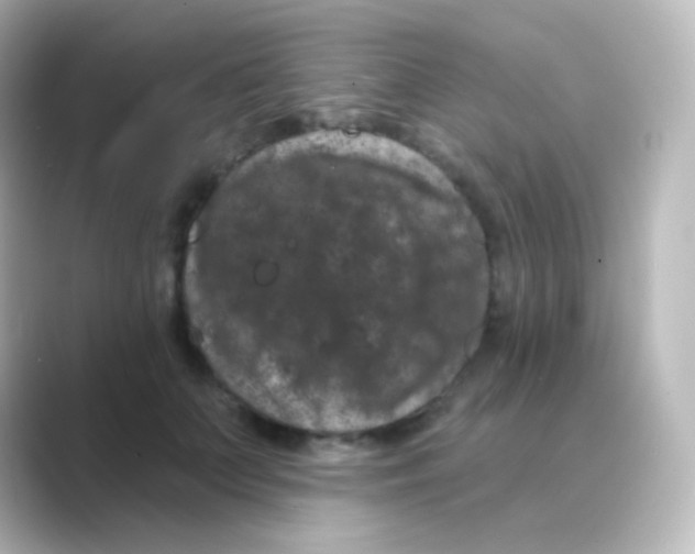 X0000088690703200706211927