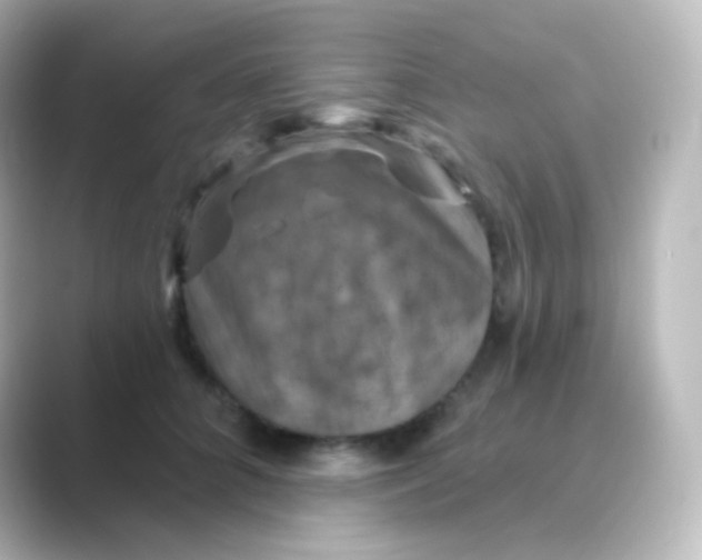 X0000088690704200706211927