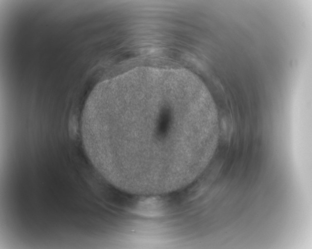 X0000088690705200706211927
