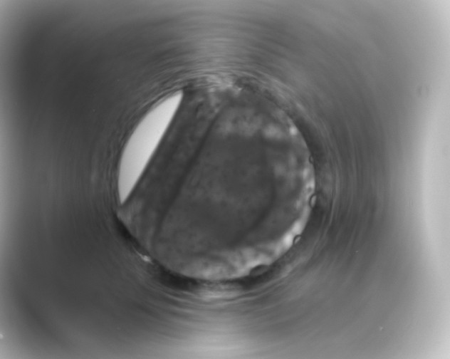 X0000088690707200706211927
