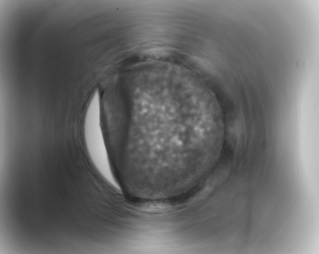 X0000088690708200706211927