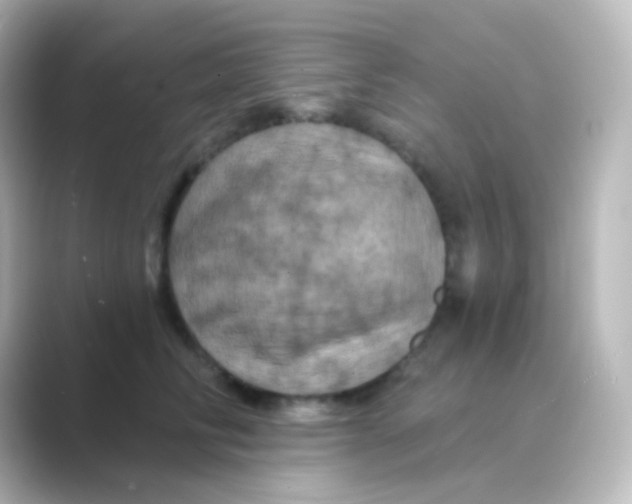 X0000088690710200706211927