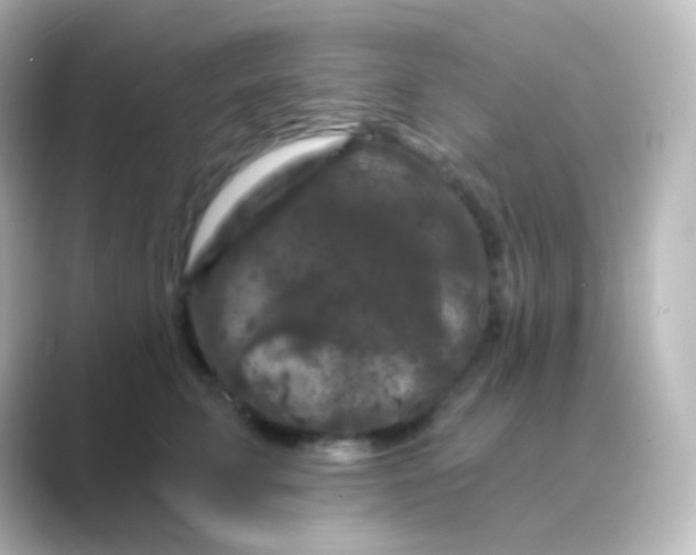 X0000088690711200706211927