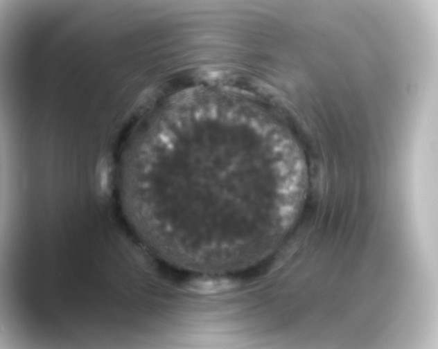 X0000088690712200706211927