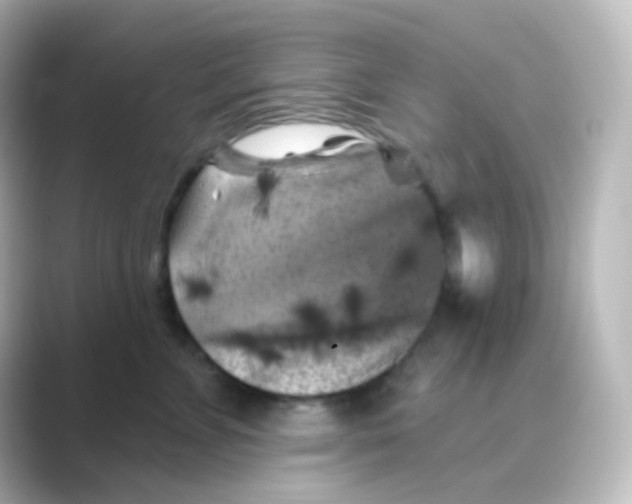 X0000088690715200706211927