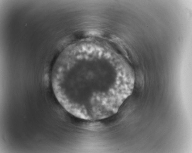 X0000088690716200706211927
